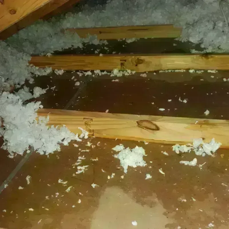 Attic Water Damage in Fayette County, OH