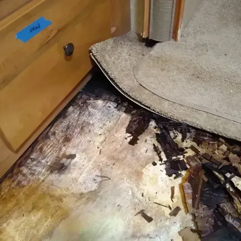 Best Wood Floor Water Damage Service in Fayette County, OH